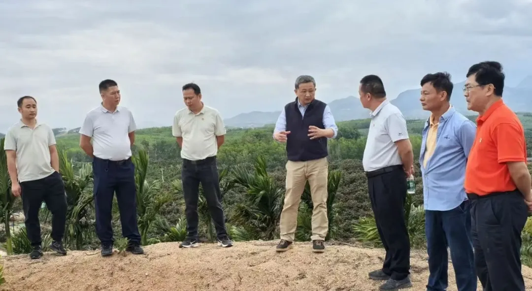 33a072a0fc4141dd9f80187cc1cd4bef