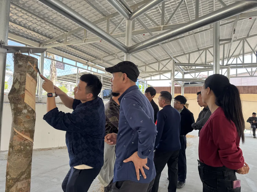 6d64b98ea68743f59c75633ee4710e17