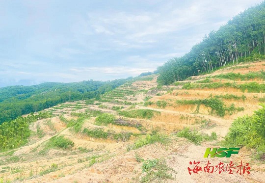 中国·KY开元(集团)股份有限公司-官方网站