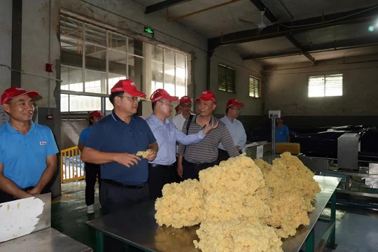 中国·KY开元(集团)股份有限公司-官方网站