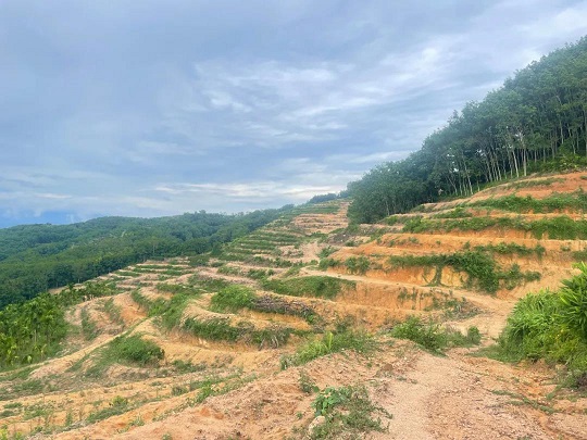 中国·KY开元(集团)股份有限公司-官方网站