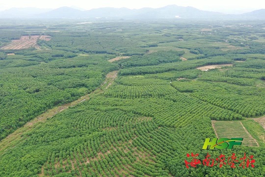 中国·KY开元(集团)股份有限公司-官方网站