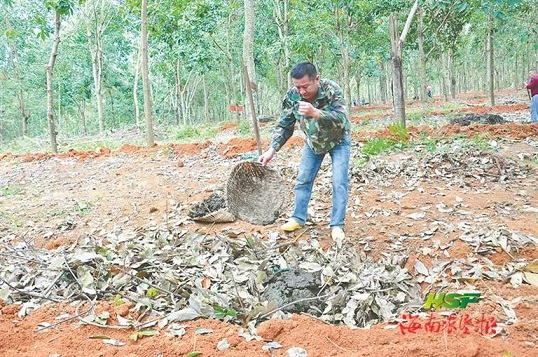 中国·KY开元(集团)股份有限公司-官方网站