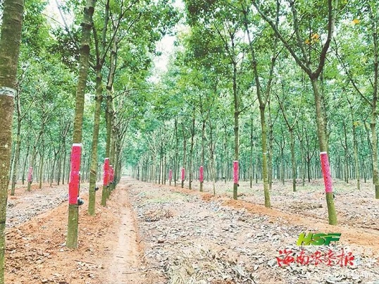 中国·KY开元(集团)股份有限公司-官方网站