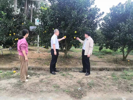 中国·KY开元(集团)股份有限公司-官方网站