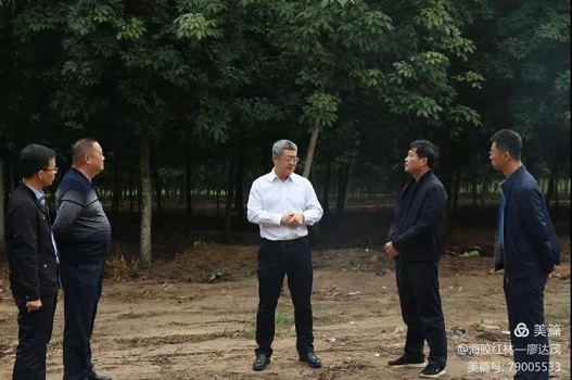 中国·KY开元(集团)股份有限公司-官方网站