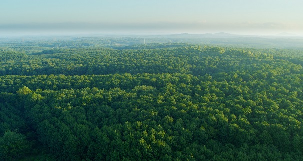 中国·KY开元(集团)股份有限公司-官方网站
