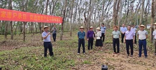 中国·KY开元(集团)股份有限公司-官方网站