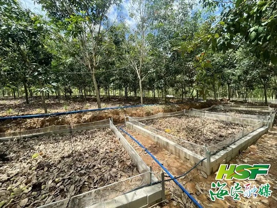 中国·KY开元(集团)股份有限公司-官方网站