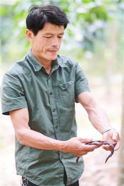 中国·KY开元(集团)股份有限公司-官方网站