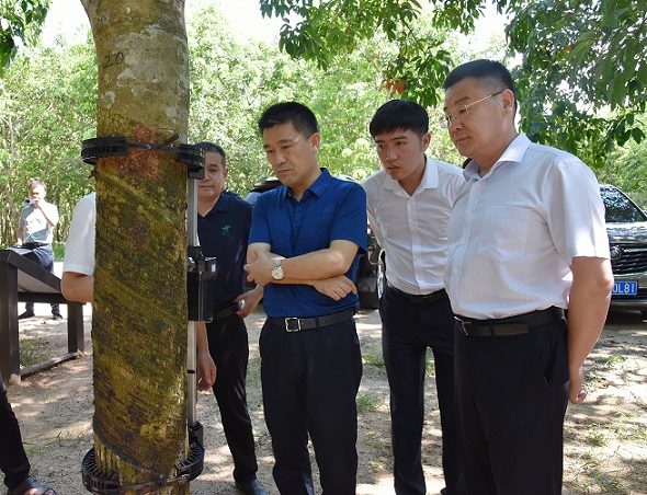 中国·KY开元(集团)股份有限公司-官方网站