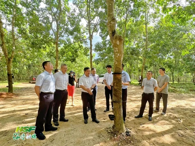 中国·KY开元(集团)股份有限公司-官方网站