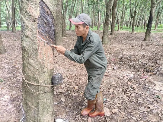 中国·KY开元(集团)股份有限公司-官方网站