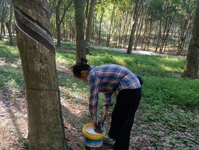 中国·KY开元(集团)股份有限公司-官方网站