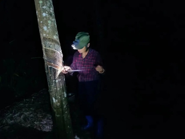 中国·KY开元(集团)股份有限公司-官方网站