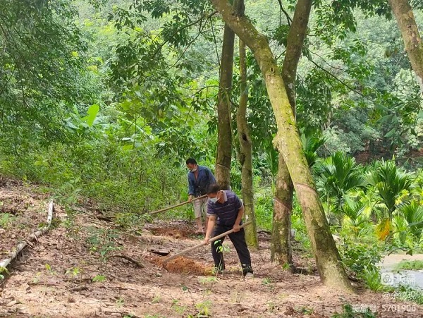 中国·KY开元(集团)股份有限公司-官方网站