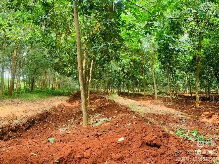 中国·KY开元(集团)股份有限公司-官方网站