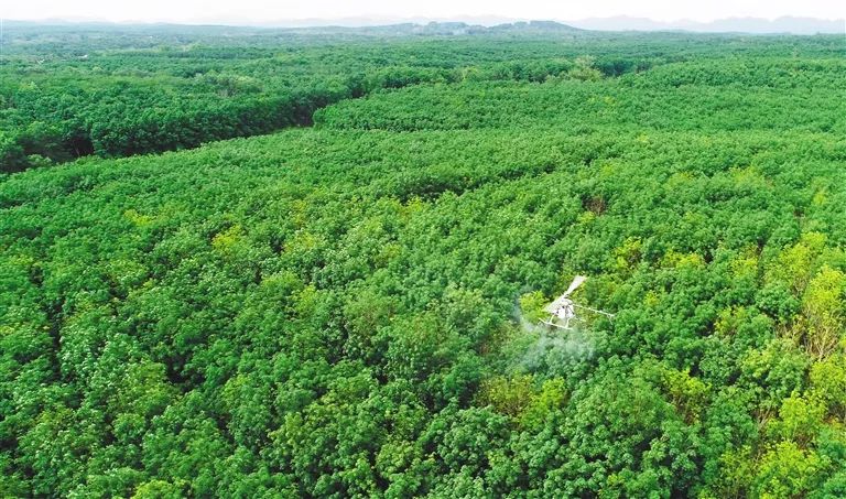 中国·KY开元(集团)股份有限公司-官方网站