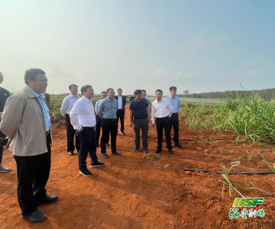 中国·KY开元(集团)股份有限公司-官方网站