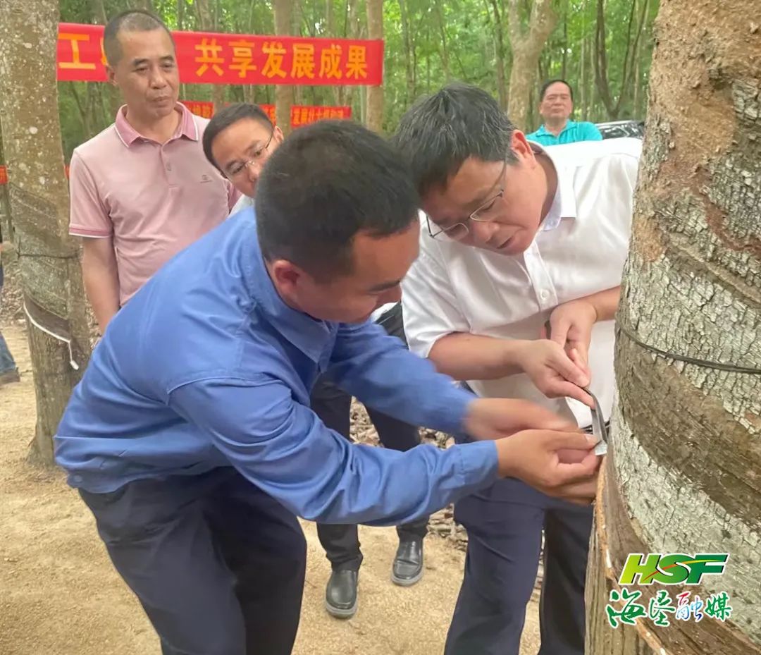 中国·KY开元(集团)股份有限公司-官方网站