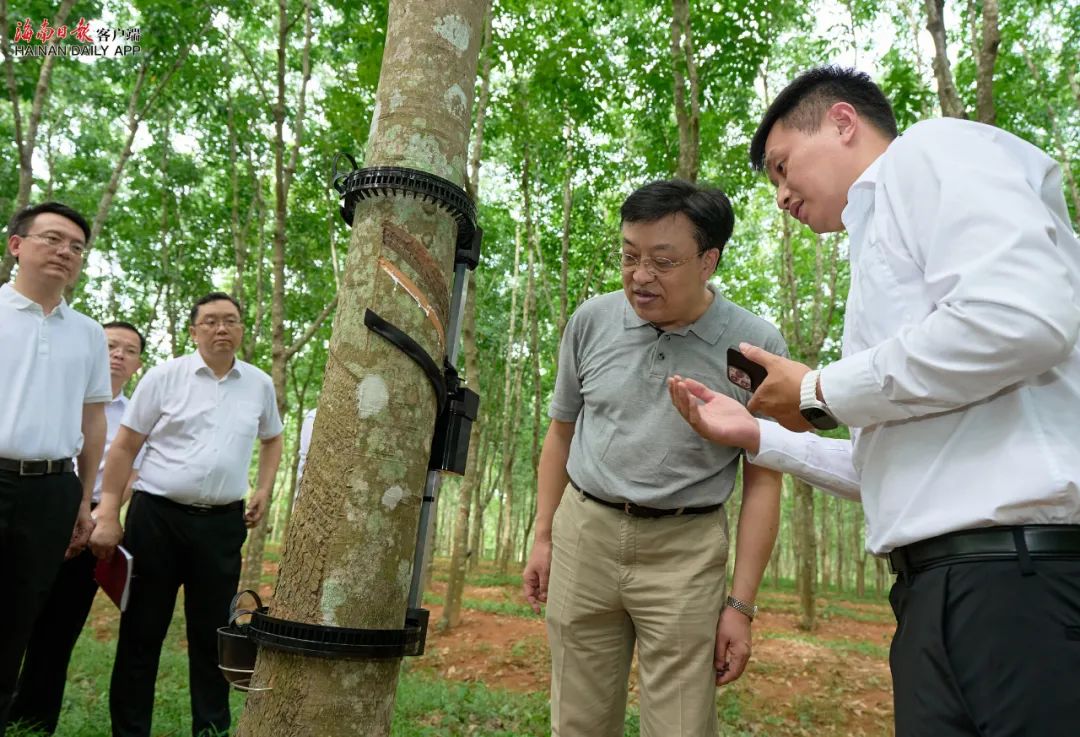 中国·KY开元(集团)股份有限公司-官方网站