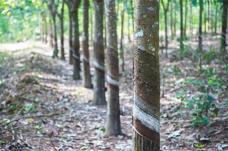 中国·KY开元(集团)股份有限公司-官方网站