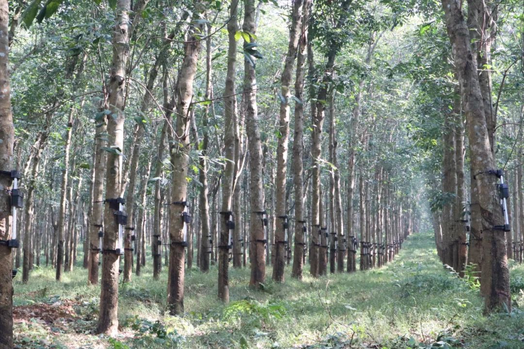 中国·KY开元(集团)股份有限公司-官方网站