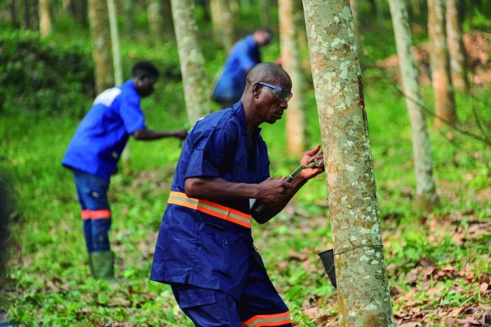 中国·KY开元(集团)股份有限公司-官方网站
