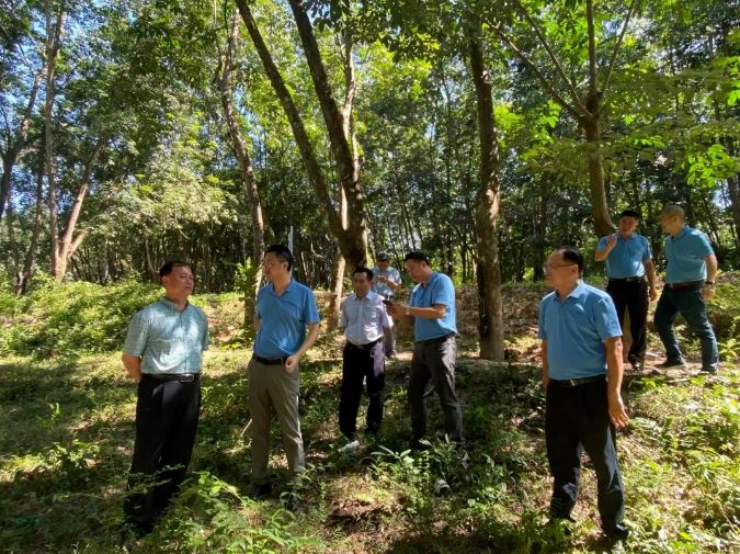 中国·KY开元(集团)股份有限公司-官方网站